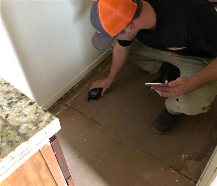 team member with a moisture meter